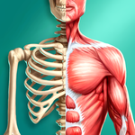 Discover Human Body - Anatomy and Physiology
