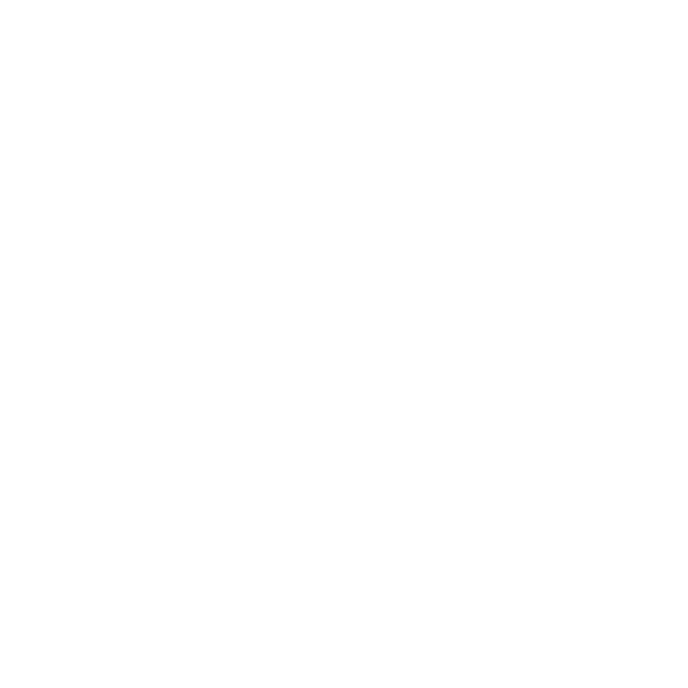 Sidekick Private Browser