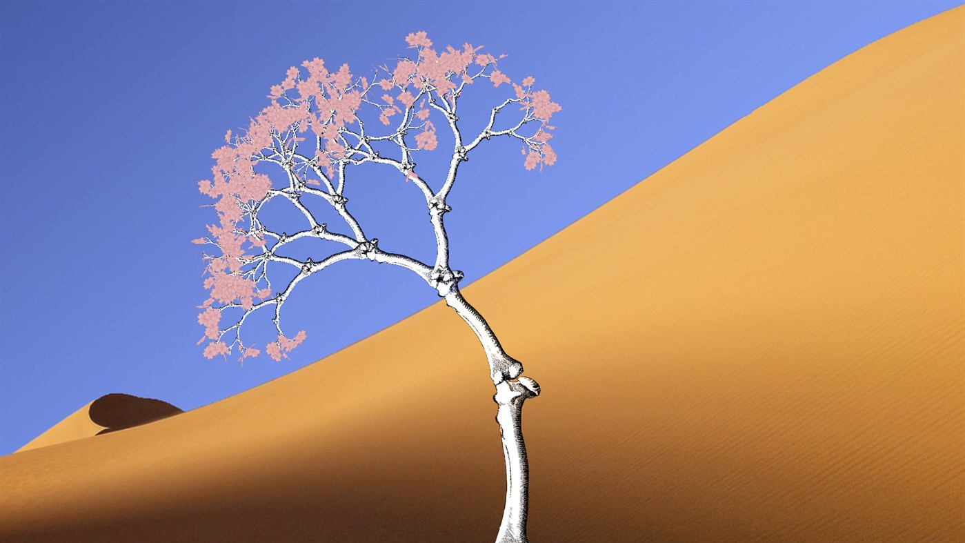 #1. Fractal Tree Maker (Windows) 由: NatureSim