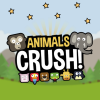 Animals Crush