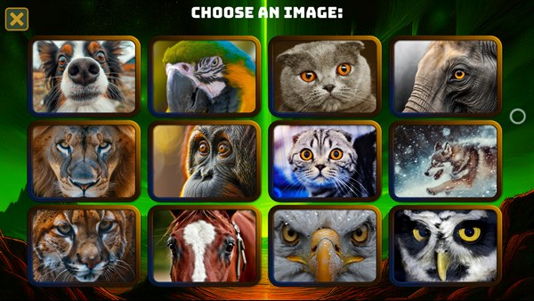Ultimate Jigsaw Pro — 9