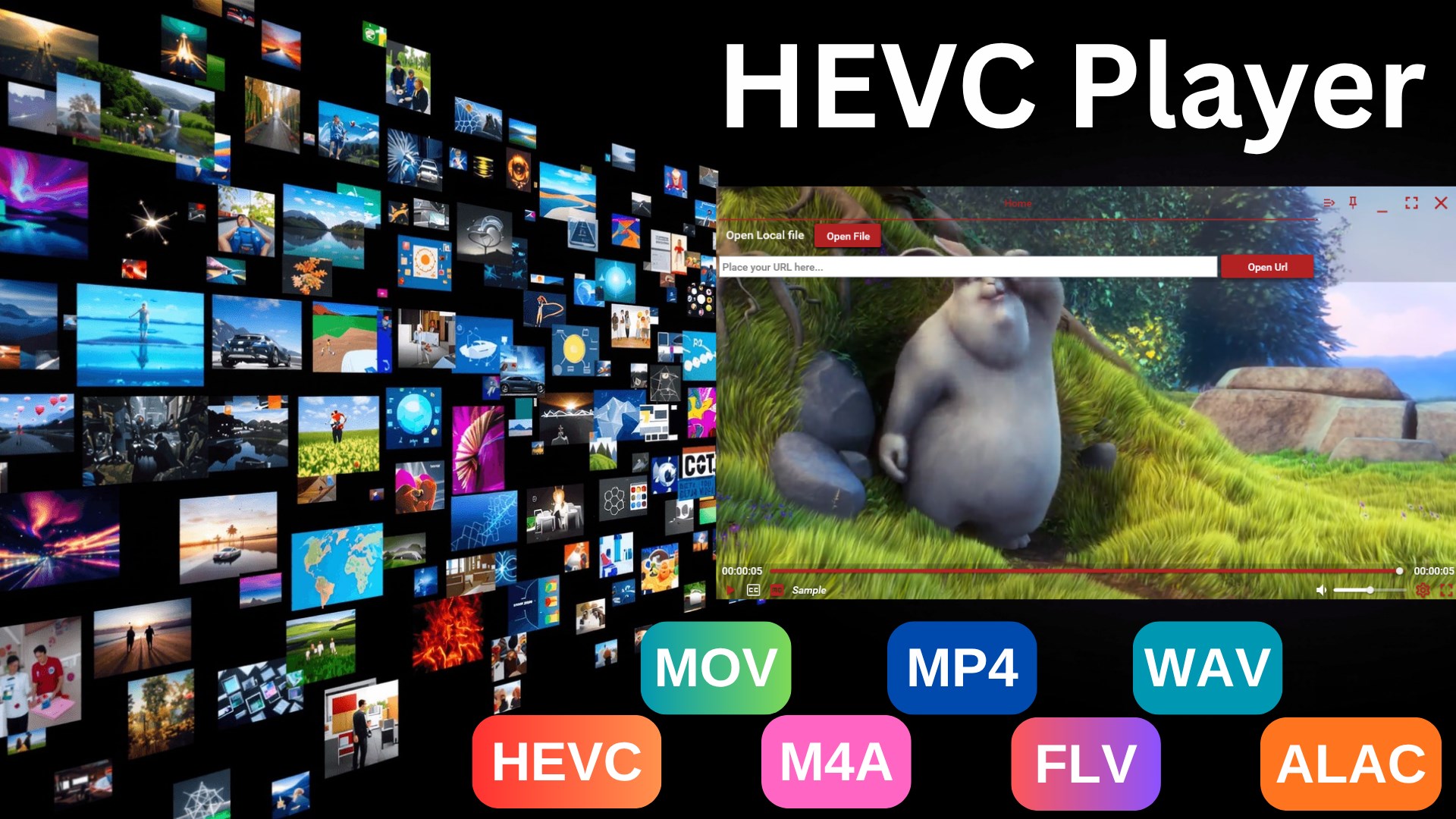 HEVC Player - HEVC Converter screenshot