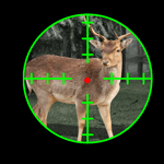 Deer Hunt Sniper Season