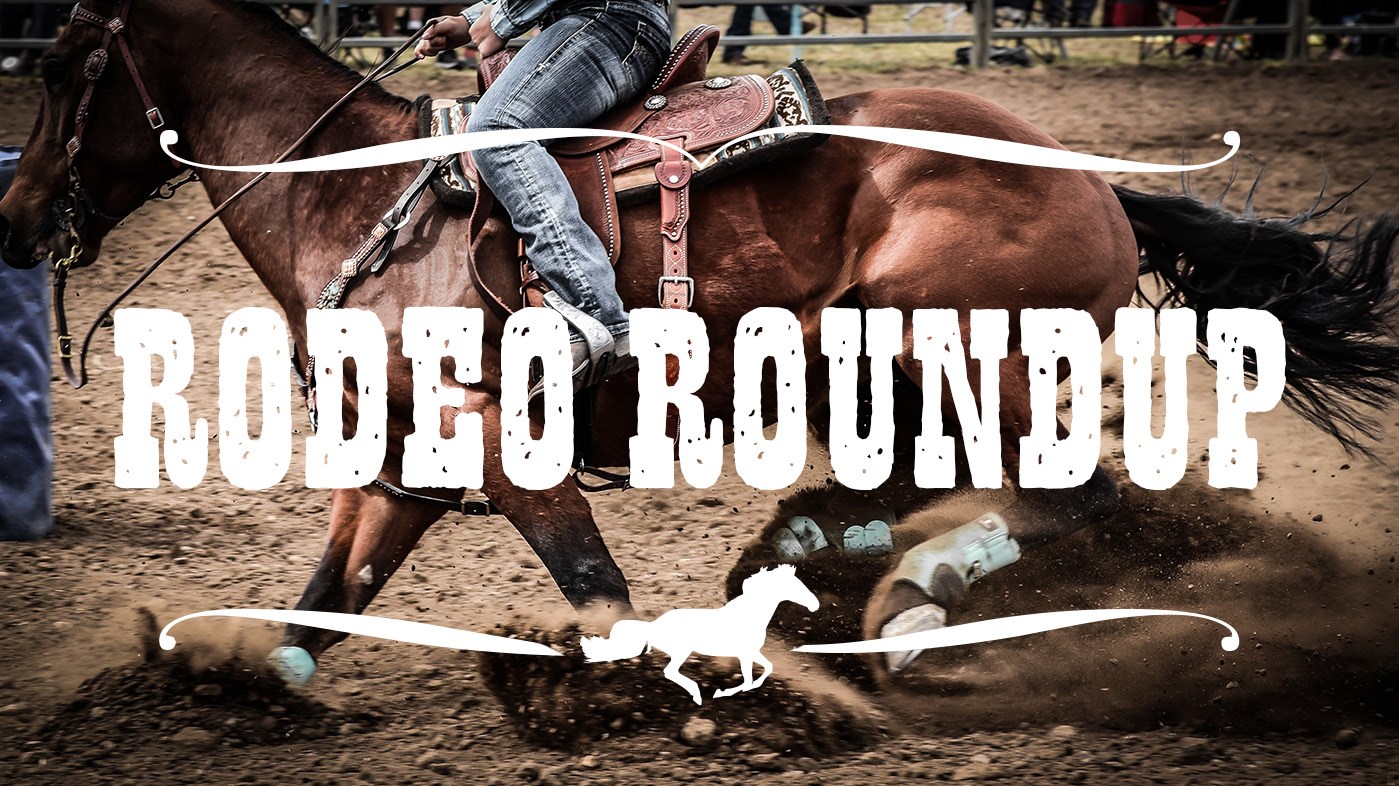 #8. Monotype Wild West Font Pack (Windows) 由: Monotype, Inc.