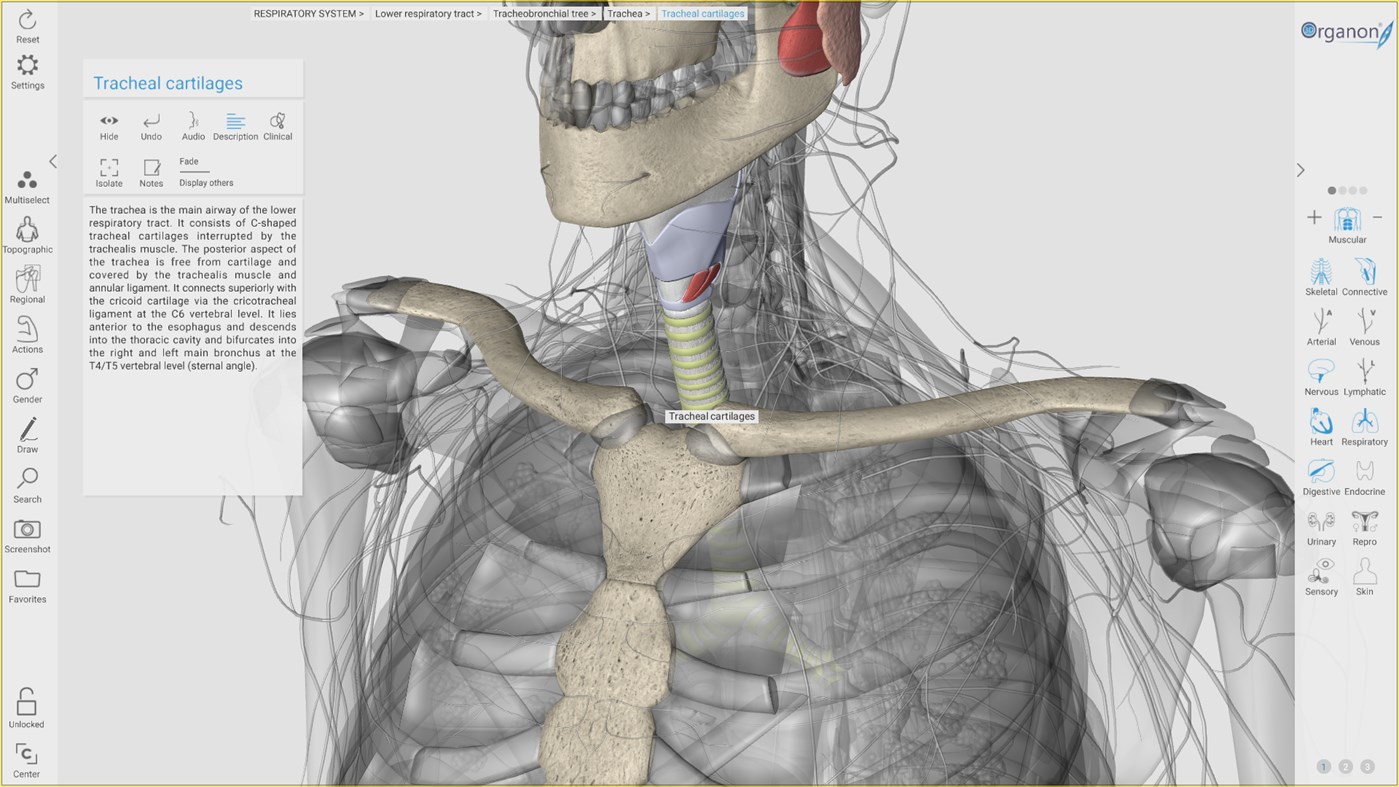 3D Organon Anatomy de Media - (Windows Aplicaciones) — AppAgg