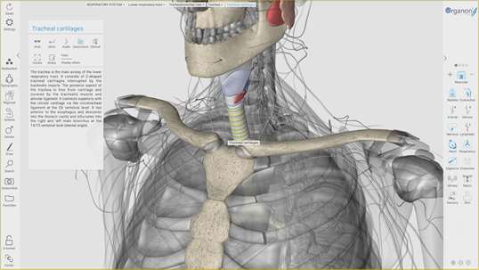 3D Organon Anatomy screenshot 9