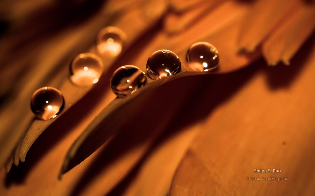 #2. Liquid Jewels by Shilpa S Rao (Windows) Podle: Microsoft Corporation