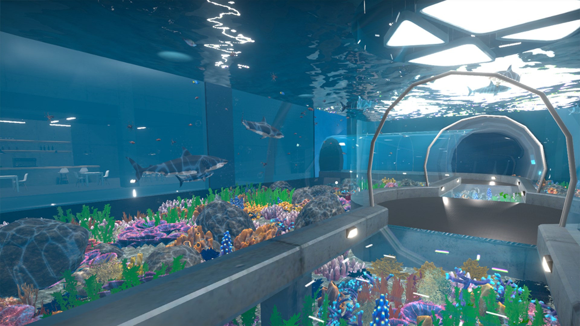 Купить Aquarist | Xbox