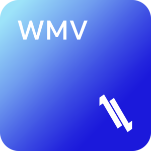 LL WMV Converter