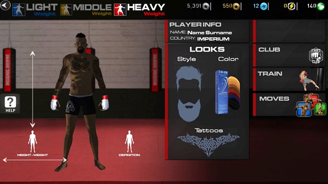 MMA Fighting and UFC Champions Simulator screenshot 3