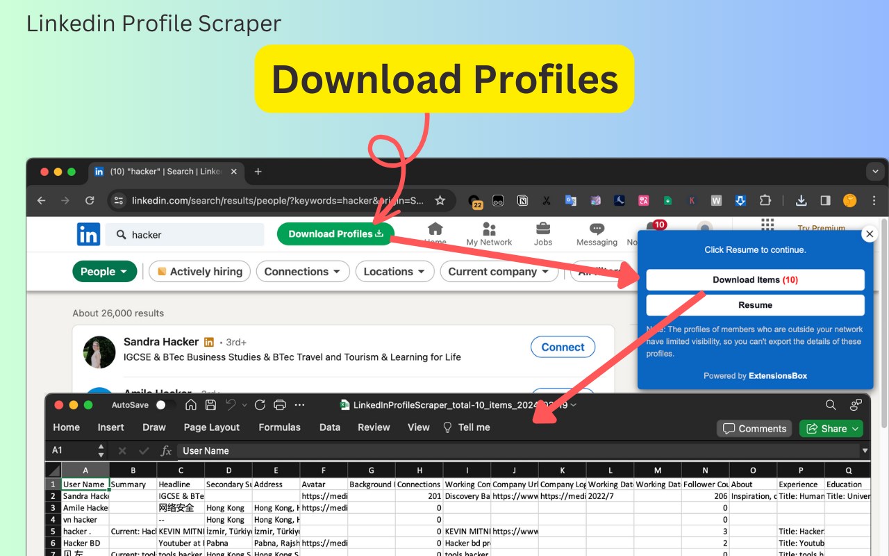 Profile Scraper & Exporter for LinkedIn™
