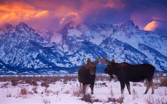 US National Parks screenshot 2