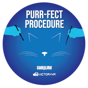 VR Cat Dissection: Purr-fect Procedure