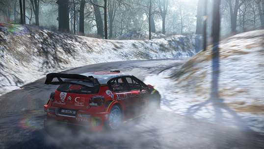 WRC 7 FIA World Rally Championship screenshot 3