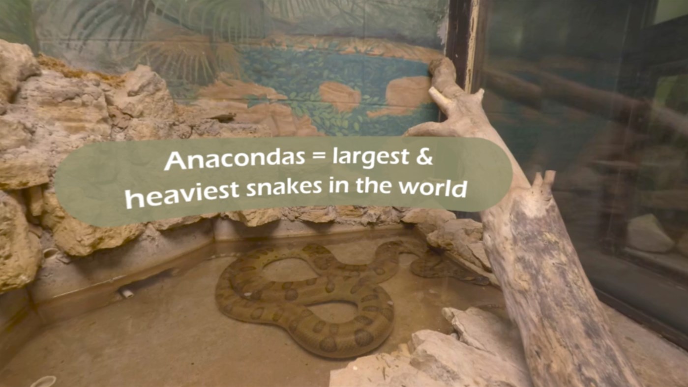 #3. Adapt: Move Forward One Space (Windows) 由: VictoryXR