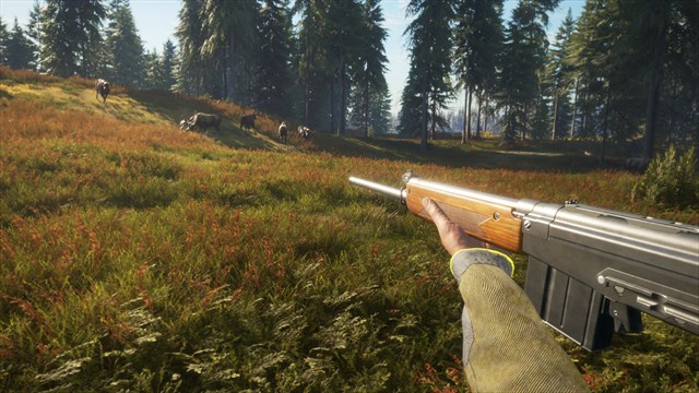 theHunter: Call of the Wild - Rapid Hunt Rifle Pack - Windows 10 screenshot 4
