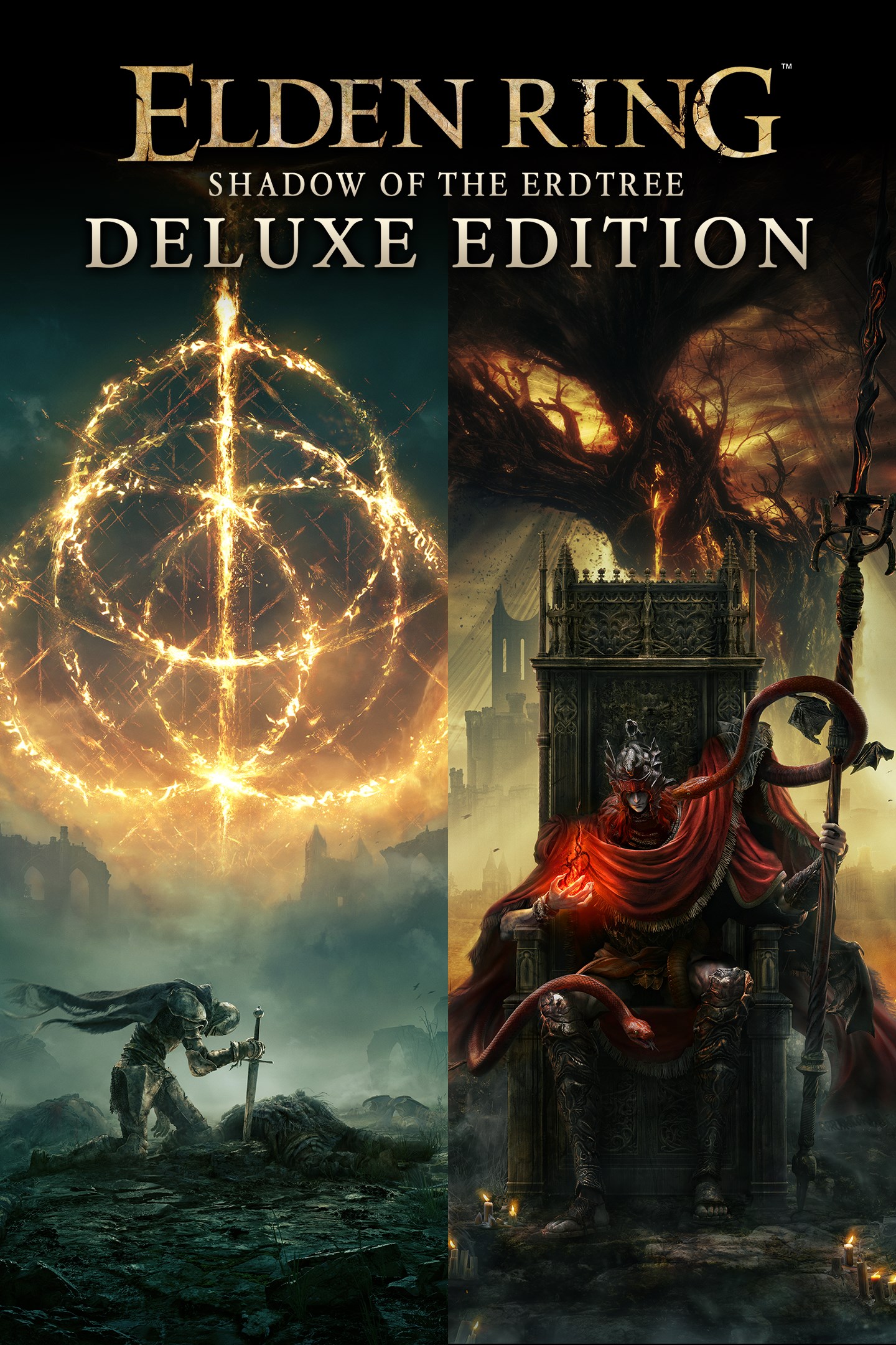 Elden Ring Launch Edition (Xbox One) : : PC & Video Games