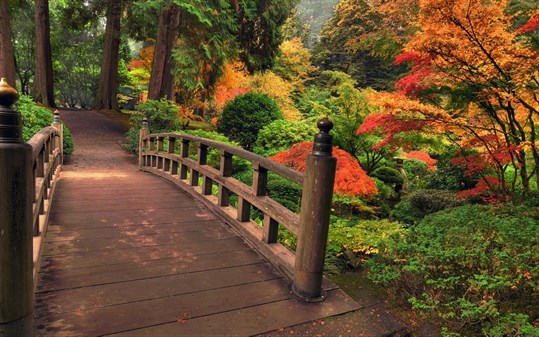 Bridges in Autumn screenshot