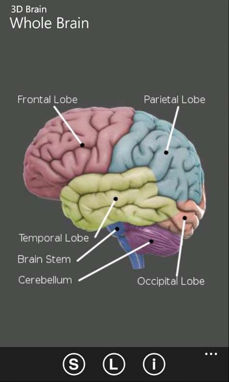 3D Brain Screenshots 2