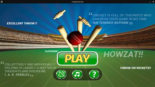 Cricket Run Out 3D screenshot 1