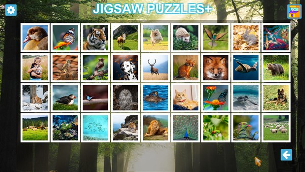 Jigsaw Puzzles+ : HD Collections — 7