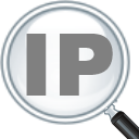 IP Address and Domain Information icon
