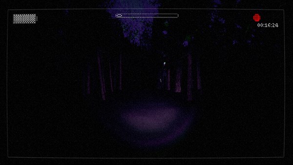 Slender: The Arrival (2014) — 4