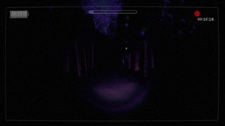 Slender: The Arrival (2014) screenshot 4