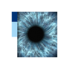 Case App Blickdiagnostik