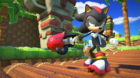 Perfil shadow the hedgehog