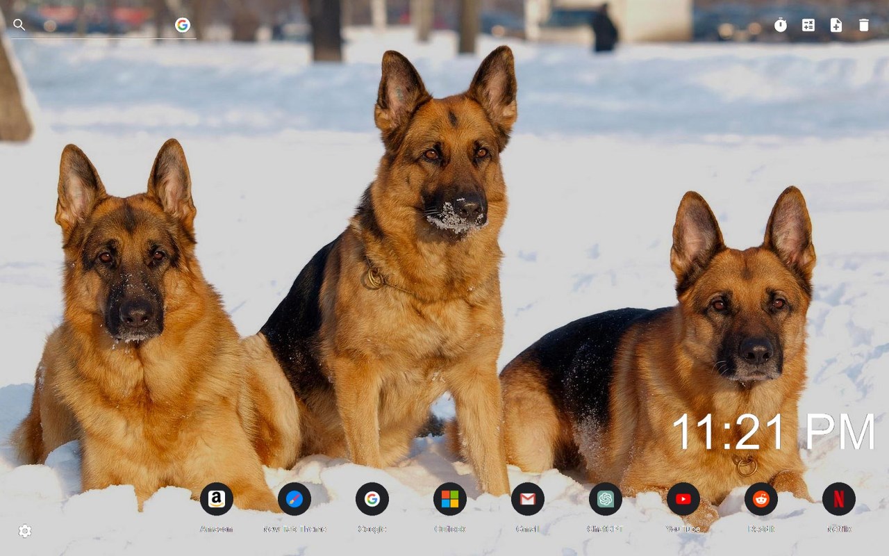 German Shepherd Wallpaper New Tab