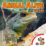 Animal Alive Vol 1