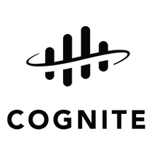 Cognite Data Fusion image