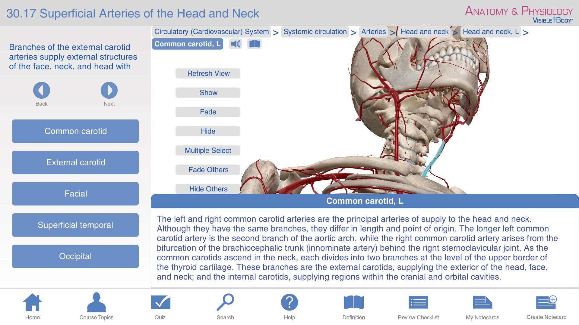 Learn anatomy. Программа Origin анатомия. Страх анатомия и физиология. Crash course: Anatomy and Physiology Stephens 2019.