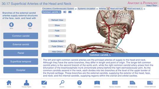 Anatomy & Physiology - Learn Anatomy Body Facts - Study Reference for Health Care Practitioners and Health & Fitness Professionals screenshot 3