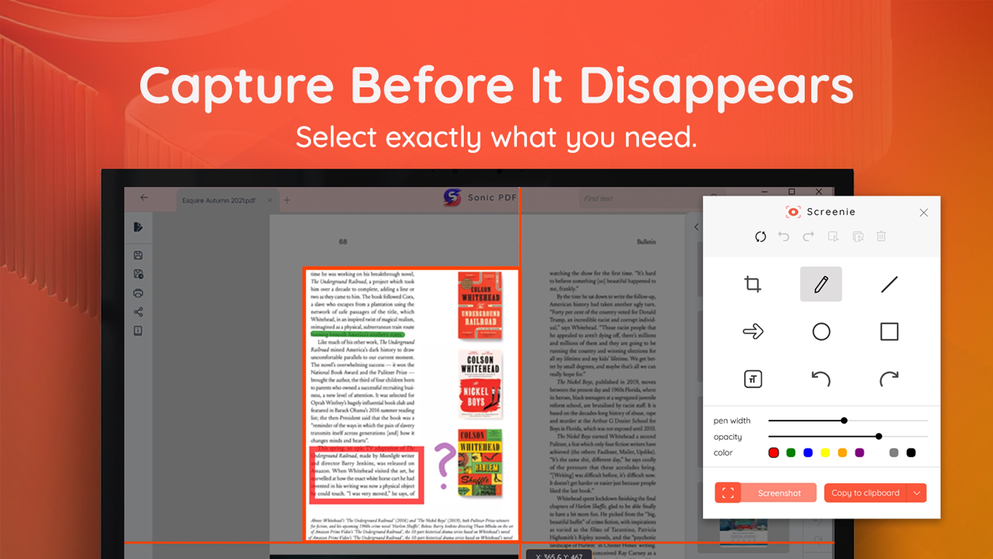 Screenie - Screen Text Extractor & OCR screenshot