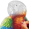 Kids Coloring Book Advanced