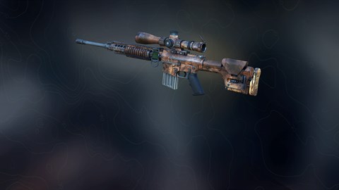 Weapon skin - Africa Tech