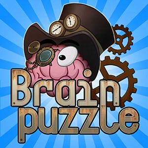 Brain Puzzle Advanced