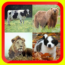 Learn Animals for Kids Free