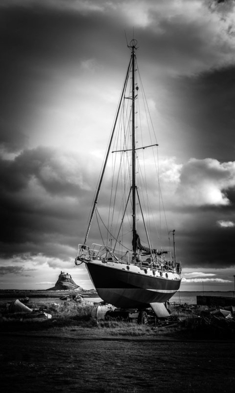 Acquista Sfondi Bianco E Nero Microsoft Store It It