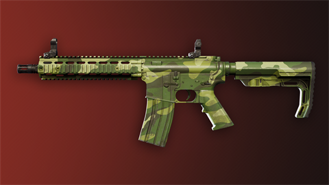 Deadside: Guerilla Skin Set