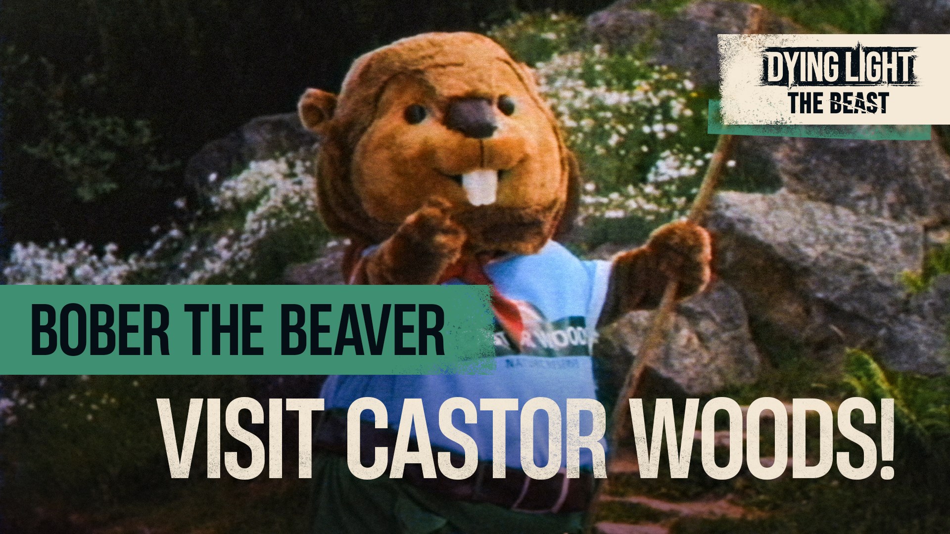 Castor Woods #1