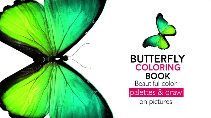get butterfly coloring book pages for adult  kids