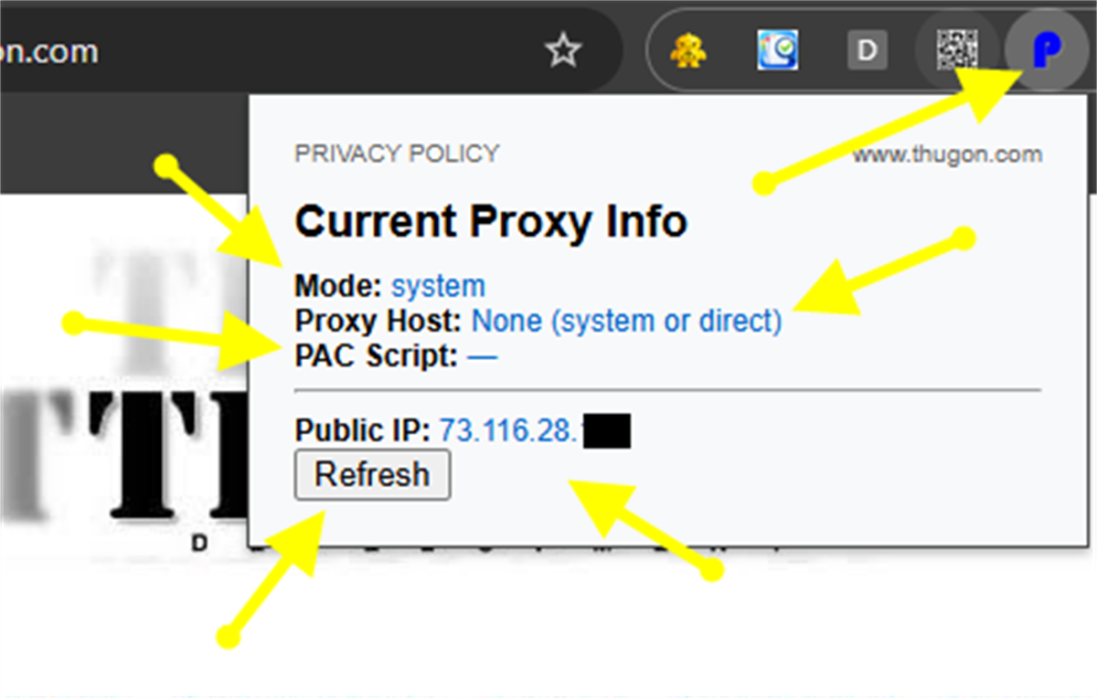Proxy Detector