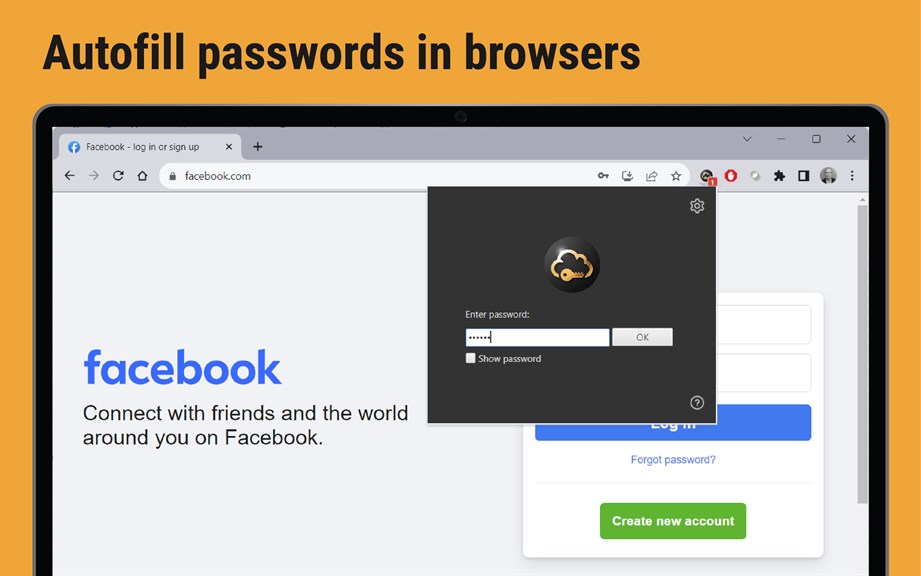 Password Manager SafeInCloud_4