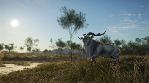 theHunter: Call of the Wild™ - Emerald Coast Australia