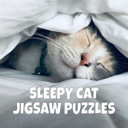 Jigsaw Puzzle Sleepy Cats