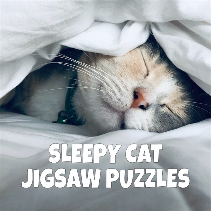 Jigsaw Puzzle Sleepy Cats