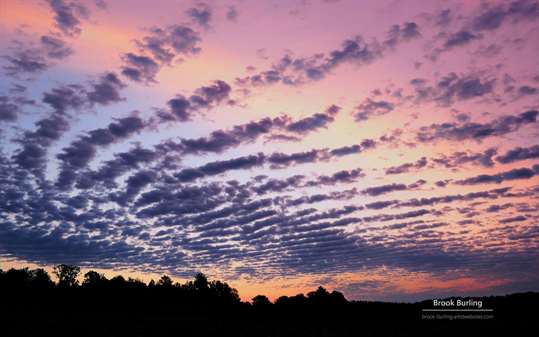 Painted Skies by Brook Burling screenshot 2